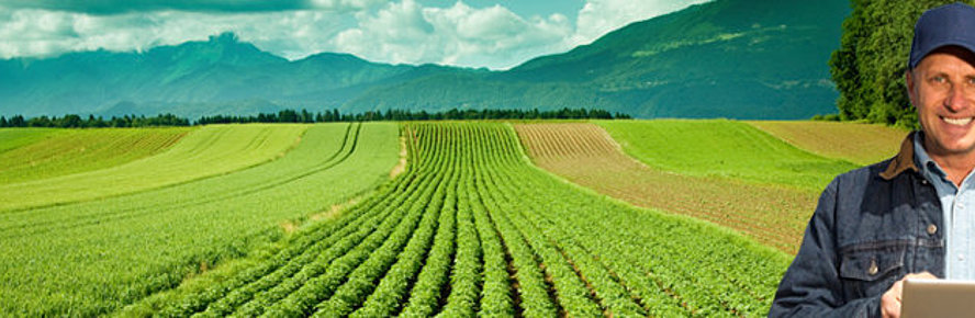 Agriculture